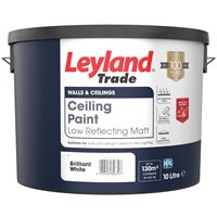 Ceiling Paint 