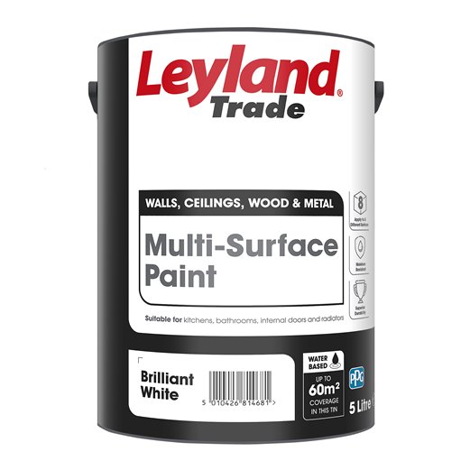 Multi-Surface Paint